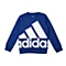 adidas阿迪达斯男大童基础系列套头衫AB5779