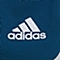 adidas阿迪达斯新款女子BOTTOM系列梭织短裤AI8115