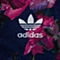 Adidas/阿迪达斯三叶草童装女大童针织长裤M66024