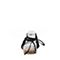 BASTO/百思图新款夏季黑色羊绒皮罗马绑带平跟女凉鞋TCK10BL7