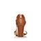JoyPeace真美诗夏季专柜同款棕色耳环扣牛皮粗跟女凉鞋ZC682BL7