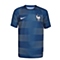 NIKE耐克新款男子法国队FFF球队训练服T恤725396-421