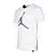 NIKE耐克男子AS M JSW TEE JUMPMAN ELE FILLT恤AJ1414-100