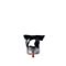 STACCATO/思加图2018年春季黑白格子布面格纹后空猫跟鞋S5301AH8