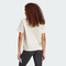 adidas阿迪达斯2025女子W 3S SJ T针织无领短TJE1237