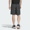 adidas阿迪达斯2025男子GFX WOVEN SHORT梭织短裤KF0134