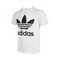 Adidas Original阿迪达斯三叶草2022男大童TREFOIL TEE短袖T恤DV2904