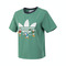 adidas Originals阿迪三叶草2024女子HDL GFX T W1圆领短TJP1427