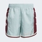 adidas Originals阿迪三叶草2025男子HYC WOVEN SHORT梭织短裤JC5970