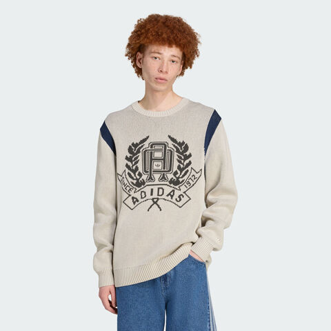 adidas Originals阿迪三叶草2025男子GRAPHIC REG JP毛线套头衫JX8214