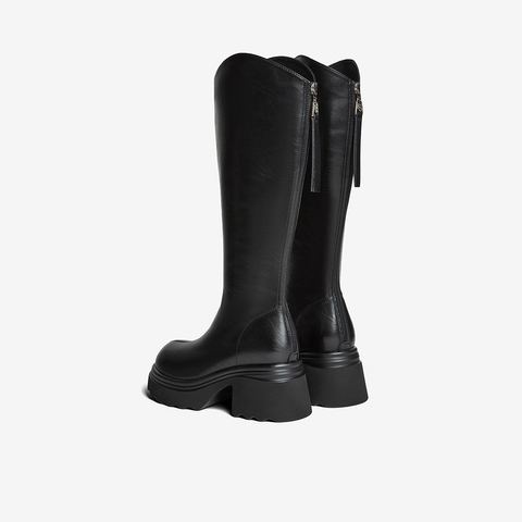 百思图2025冬季新款商场同款骑士靴时尚潮流粗跟女长靴F2181DG5