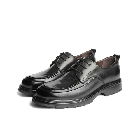 百丽通勤上班皮鞋男2025新秋商场款牛皮革休闲商务鞋加绒8TS01CM5