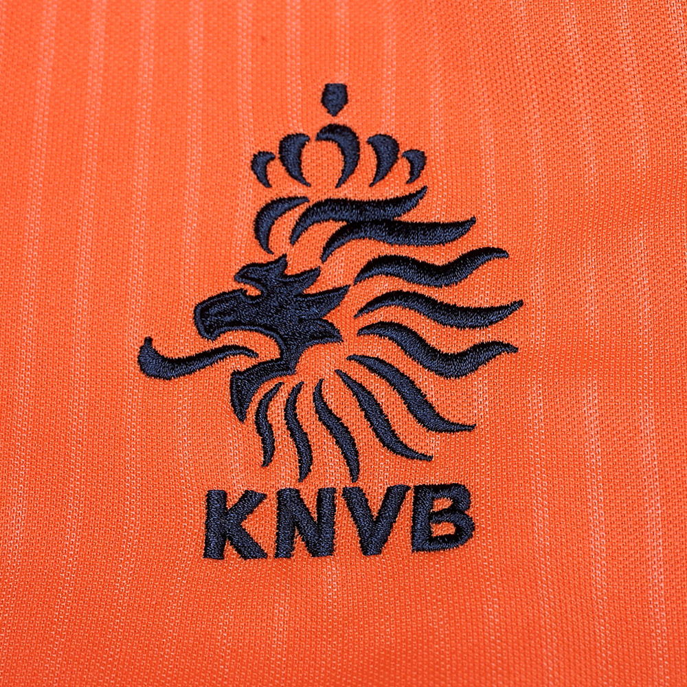 2021荷兰队标图片