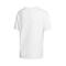 Nike耐克2021年新款女子AS W NSW TEE BOY INSTACAT短袖T恤DD1496-100