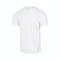 nike耐克2023年新款男子M NSW TEE BIG SWOOSH LBR短袖T恤FD1245-100
