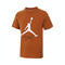 NIKE耐克2024男子AS JUMPMAN FLIGHT HBR TEE无领短TAO0665-228