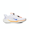 NIKE耐克2024男子PEGASUS EASYON FP跑步鞋HM0374-900