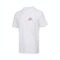 NIKE耐克2025男子AS M NK DF TEE WESTERN STATES针织无领短THJ3663-100