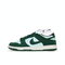 NIKE耐克2025男子NIKE DUNK LOW RETRO SE休闲FQ8249-300