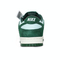 NIKE耐克2025男子NIKE DUNK LOW RETRO SE休闲FQ8249-300