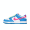 NIKE耐克2025男大童NIKE DUNK LOW BG儿童IB7747-406