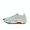 NIKE耐克2025男子NIKE PEGASUS TRAIL 5 GTX跑步FQ0908-009
