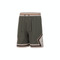 NIKE耐克2025男子AS M J DF MESH SHORT DD针织短裤HV1264-222