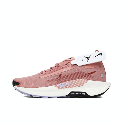 NIKE耐克2025女子W PEGASUS TRAIL 5 GTX跑步FQ0912-602