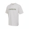 NIKE耐克2025男子AS M ACG DF TEE OC IGUANA针织无领短THJ0885-030
