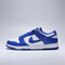 NIKE耐克2025男子NIKE DUNK LOW RETRO休闲HF5441-112