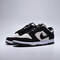 NIKE耐克2025男子NIKE DUNK LOW RETRO SE休闲IB2990-100