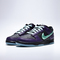 NIKE耐克2025男子NIKE DUNK LOW RETRO LTD HWN休闲IB2267-001