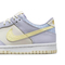 Nike KidsNike Kids2025男大童NIKE DUNK LOW SE BG儿童FJ4641-536
