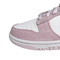 NIKE耐克2026女子WMNS NIKE DUNK LOW休闲IO4244-100