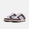 Nike KidsNike Kids2026大童NIKE DUNK LOW SE (GS)儿童IB5691-100