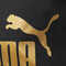 puma彪马2025中性中性-PUMA PHASE Backpack-黑色-金色-NO.1 logo双肩包09116403