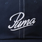 puma彪马2025中性中性-PUMA SCRIPT AF BB Cap-海军蓝弯沿帽02698601