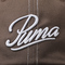 puma彪马2025中性中性-PUMA SCRIPT AF BB Cap-棕色弯沿帽02698602