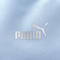 puma彪马2025中性中性-PUMA FORMSTRIPE  Backpack-浮潜蓝双肩包09237501