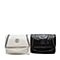 SKAP/圣伽步2020春新款专柜同款欧美时尚女手提斜挎包N02D0101