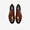Tata/他她2020春专柜同款棕色牛皮革商务正装德比鞋男单鞋QBI01AM0