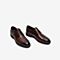 Tata/他她2020春专柜同款棕色牛皮革系带商务德比鞋男单鞋QBK01AM0