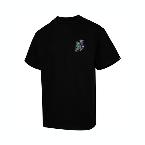 VANS范斯2025男子PICKLE GFX SS TEE针织无领短TVN000NNKBLK