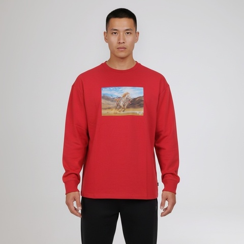 VANS范斯2026男子HORSE CNY LS TEE针织无领长TVN000TH514A